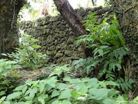 Nanzan Castle Ray 2.jpg