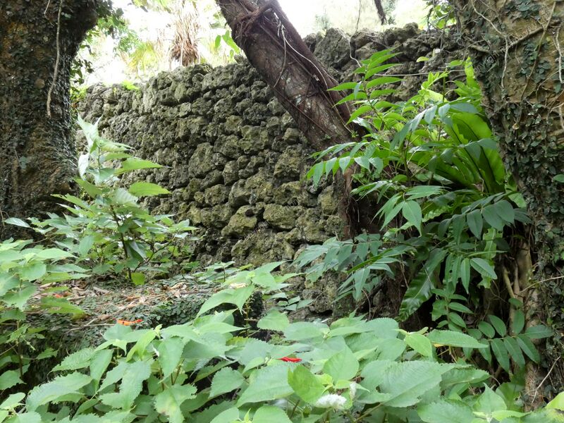 File:Nanzan Castle Ray 2.jpg