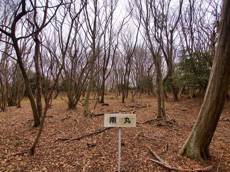 File:Nishikata37.jpg
