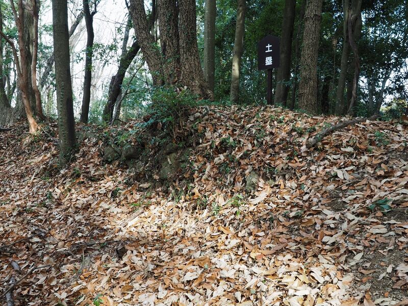 File:Ogyu14.jpg