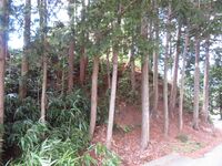 Shimomakifurujou (4).JPG