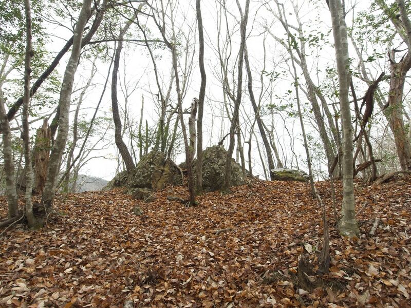 File:Shuuchi5.jpg