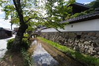 Takeda52.jpg