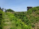 Torigoejô(path from sannomaru).JPG