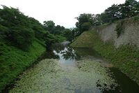 Wakamatsu23.jpg