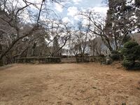 Yagyujinya2.jpg