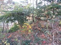 EchigoKatsuyamajou (21).JPG
