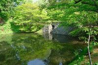 Hirosaki5.jpg