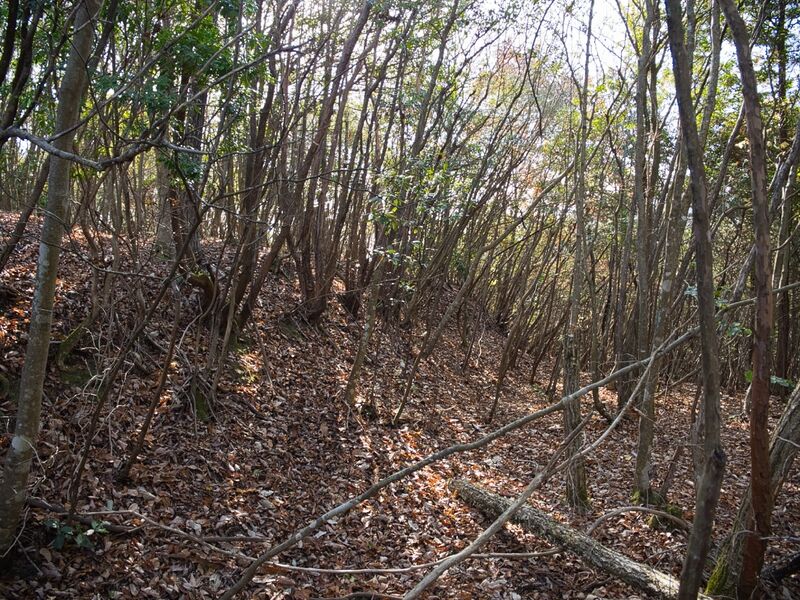 File:Inokurakyoto34.jpg