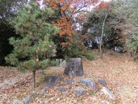 IseMatsumotojou003.jpg