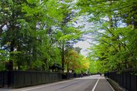 Kakunodate128.jpg