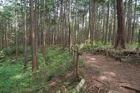 Katsunuma16.jpg