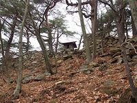 Matsuoko16.jpg