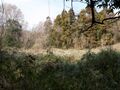 Thumbnail for version as of 12:45, 23 May 2020