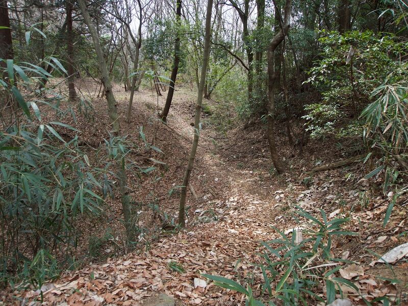 File:Nishikata29.jpg