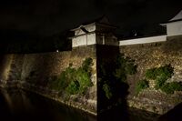 Osaka night8.jpg
