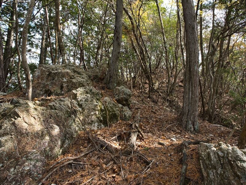 File:Shishiudokyoto3.jpg