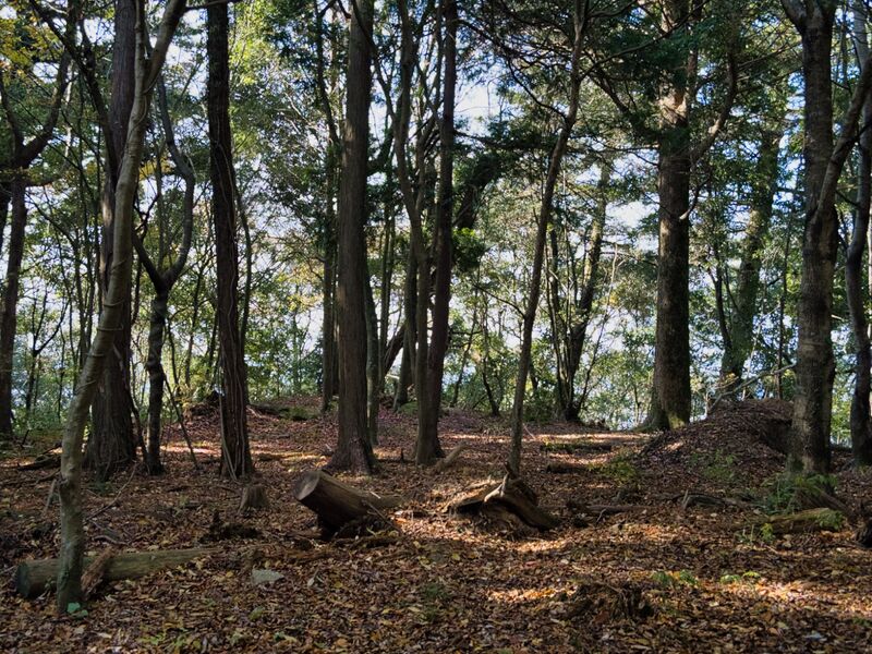 File:Bitchumatsuouter19.jpg