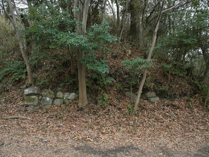 File:Iimori41.jpg