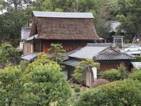 KigaJinya (7).jpg