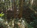Kokashingushi20.jpg