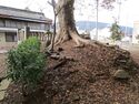 MatsudaYakata30.JPG