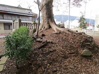 MatsudaYakata30.JPG