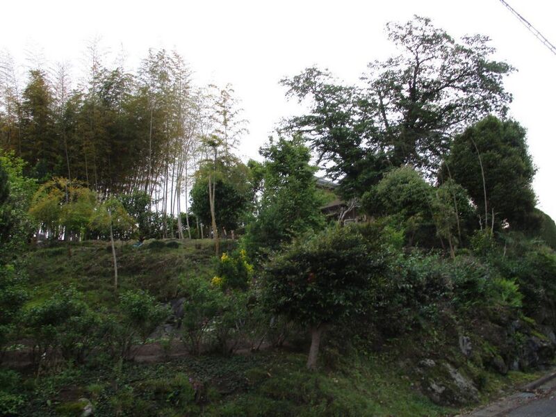 File:MikawaMorijou (18).jpg