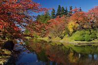 Yonezawa7.jpg