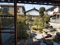 Yoshiihikone4.jpg