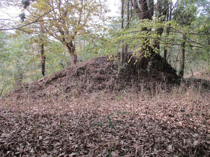 File:AsukeNarusejou (8).jpg