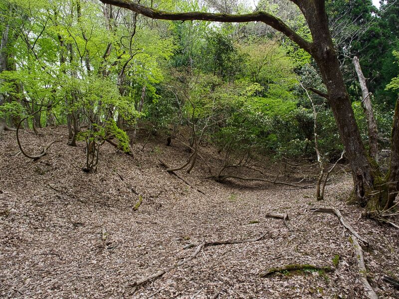 File:Imaichikami4.jpg
