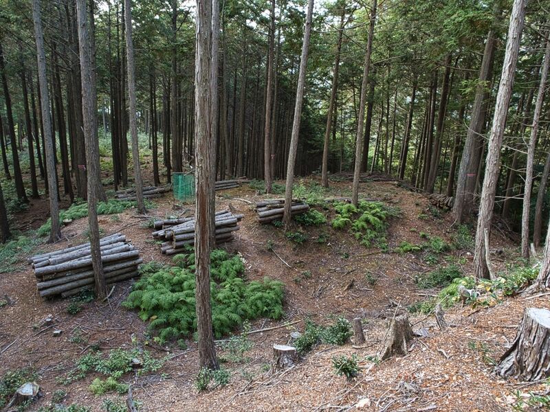 File:Kannosankyoto25.jpg