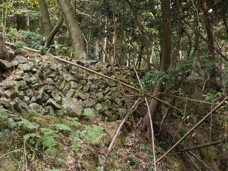 File:Kohyama3.jpg