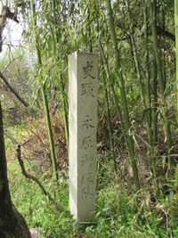 Nagaharajou (5).JPG