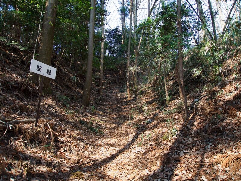 File:Nishikata4.jpg