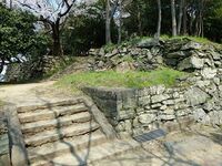 Tokushima7.jpg