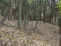 Kamaha51.jpg