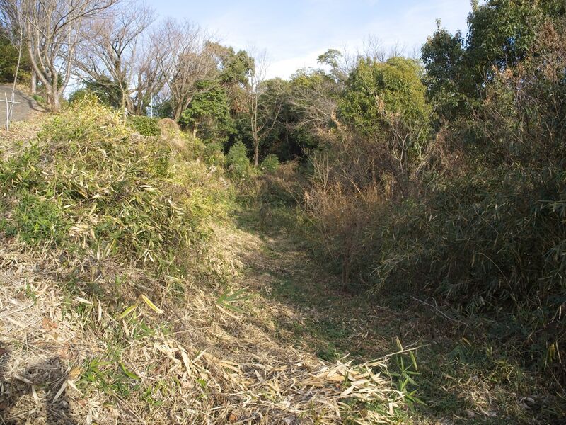 File:Kiikameyama1.jpg