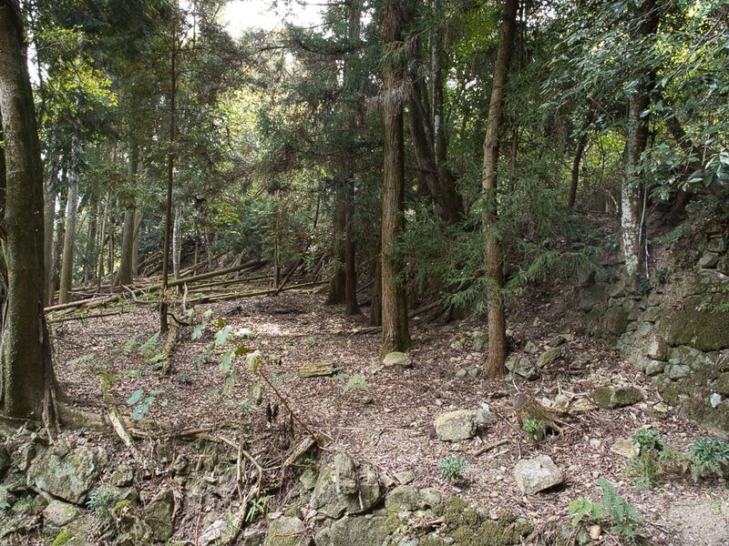 File:Kohyama6.jpg