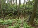 Shirahata6.jpg
