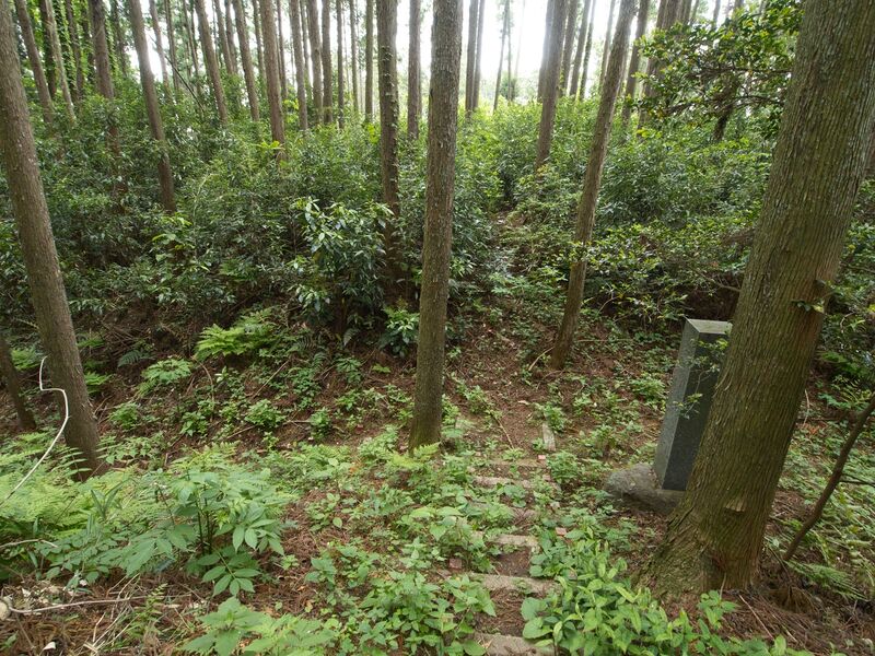 File:Shirahata6.jpg