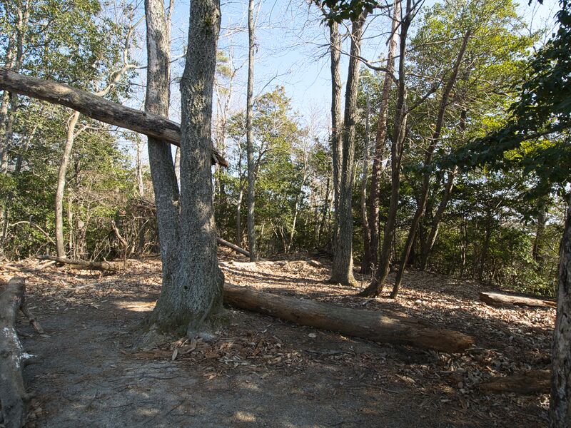 File:Shogunyama29.jpg