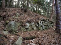 Tsubokasayama25.jpg
