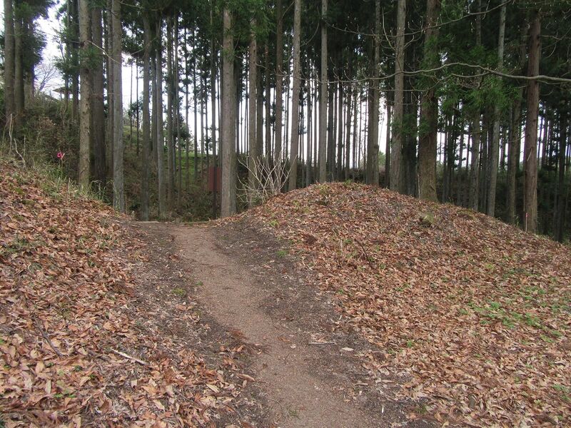 File:Fujita6.jpg