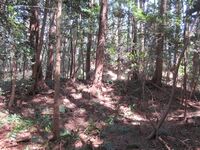 KanzakiWadayamajou (3).JPG