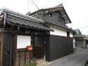 Katsuradahikone3.jpg