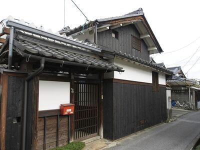 Katsuradahikone3.jpg