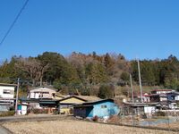 Katsuyamatsuru1.jpg