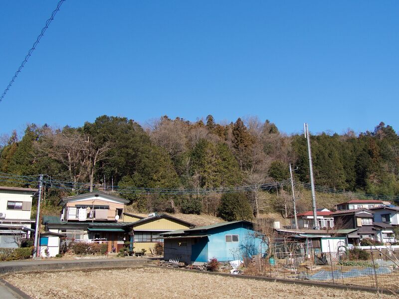 File:Katsuyamatsuru1.jpg
